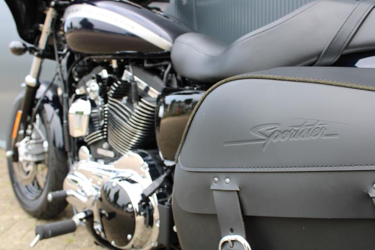 Harley Davidson 1200 CUSTOM (6)