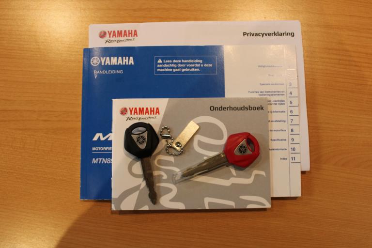 Yamaha MT-09 - 2021 (18)