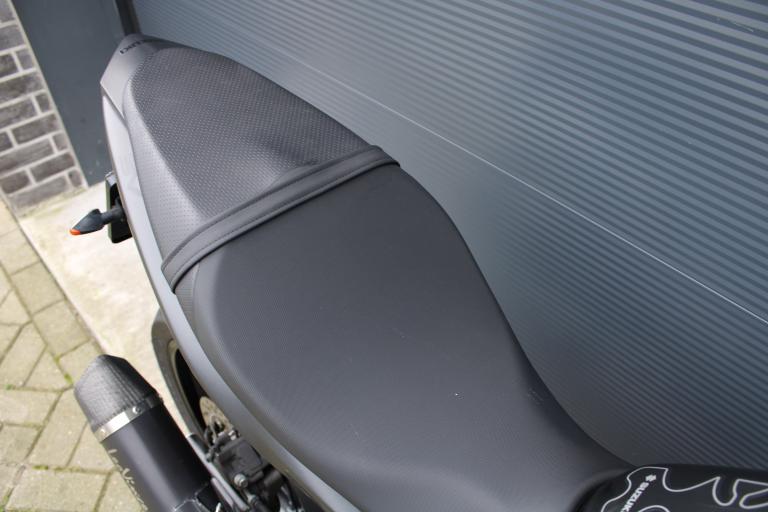 Suzuki SV 650 - 2019 (16)